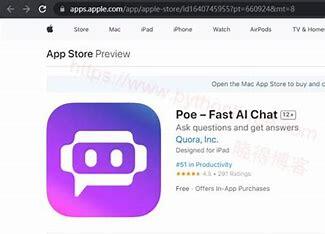 Poe国内用户的使用现状如何？